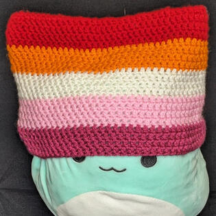 Cat Ear Hats $22